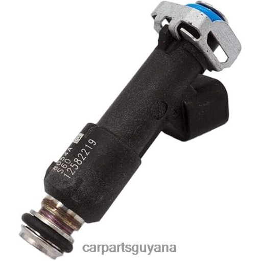 12582219 FJ722 Fuel Injecto 2F6T2152 car accessories guyana CHEROLET&GM