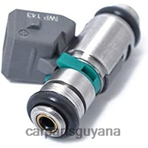 IWP143 8200128959 75112142 50102602 805001571701 Fuel Injecto 2F6T2213 car parts store in guyana RENAULT