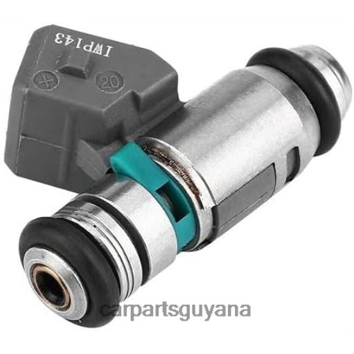 IWP143 8200128959 75112142 50102602 805001571701 Fuel Injecto 2F6T2213 car parts store in guyana RENAULT