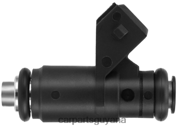 auto parts Guyana V8D68H1795 Fuel Injector H132259 D206A00790 RENAULT