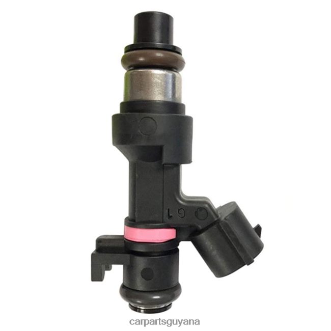 auto parts Guyana V8D68H95 166006863R Fuel Injector RENAULT