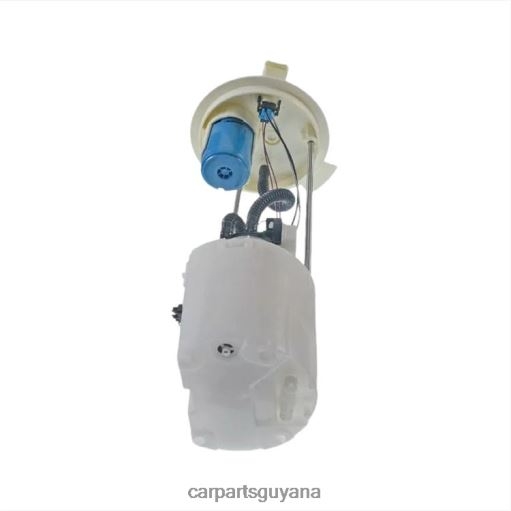 Fuel Pump Module E2582M P76865M SP2474M BC3Z9H307D for Ford 2F6T2813 car parts store in guyana