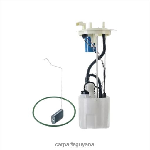 Fuel Pump Module E2582M SP2474M FG1142 FG1326 BC3Z9H307D P76865M for Ford 2F6T2793 car parts store in guyana