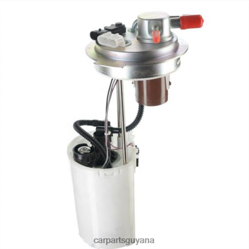 Fuel Pump Module E3678M FG0399 FG0402 P76088M P76087M for GM 2F6T2941 car parts guyana
